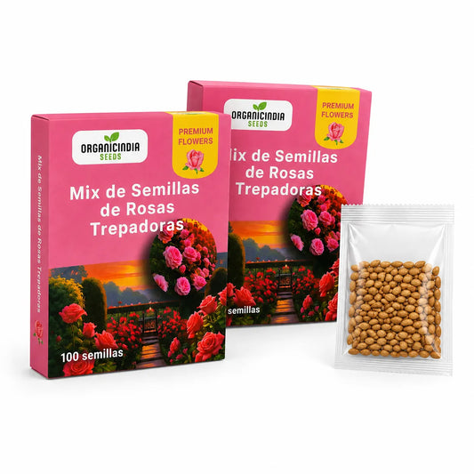 SEMILLAS ROSA TREPADORA 2X1 (200 UND) 🌹