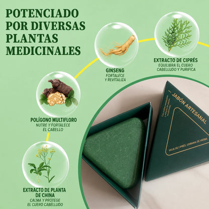 Triangle Shampoo™ 2x1 | Detiene la caída, promueve el crecimiento y la salud del cabello 🌿
