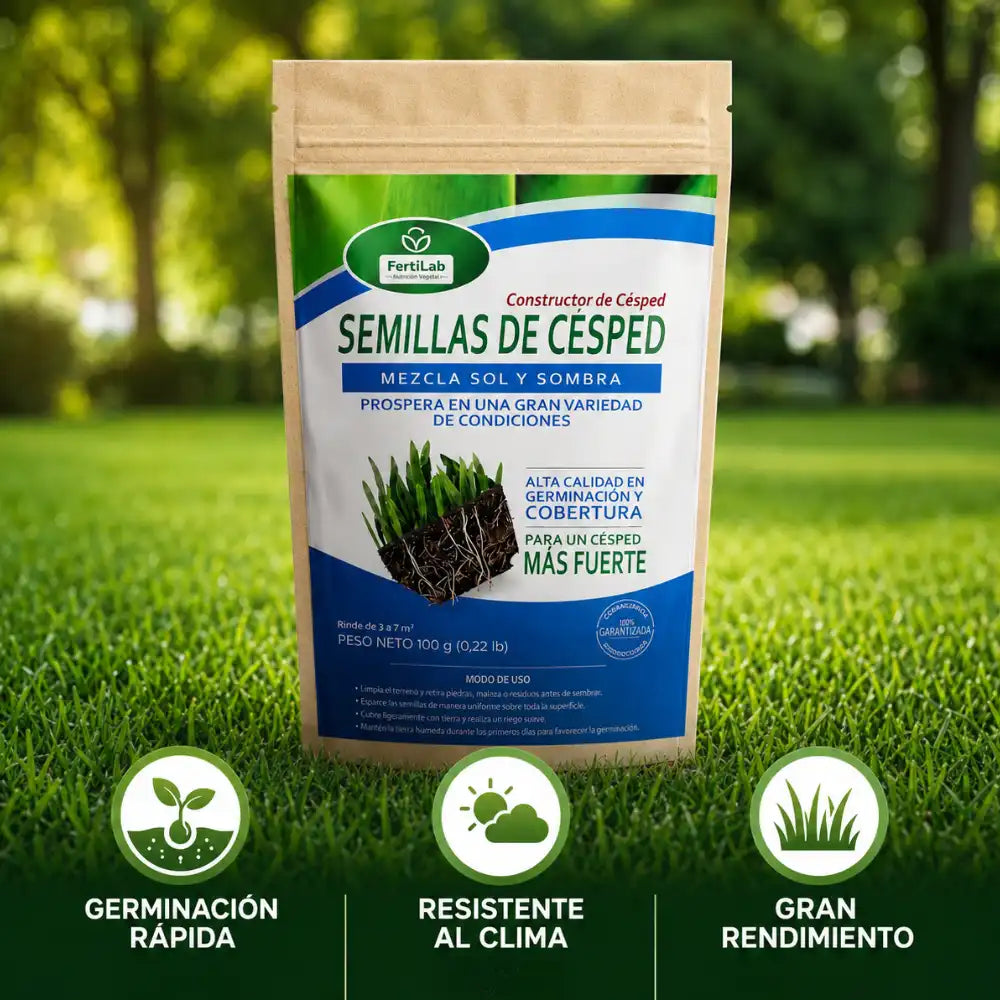 SEMILLAS CONSTRUCTORAS DE CÉSPED | De tierra seca a jardín vivo 🌱