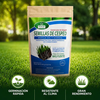SEMILLAS CONSTRUCTORAS DE CÉSPED | De tierra seca a jardín vivo 🌱