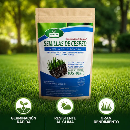 SEMILLAS CONSTRUCTORAS DE CÉSPED | De tierra seca a jardín vivo 🌱