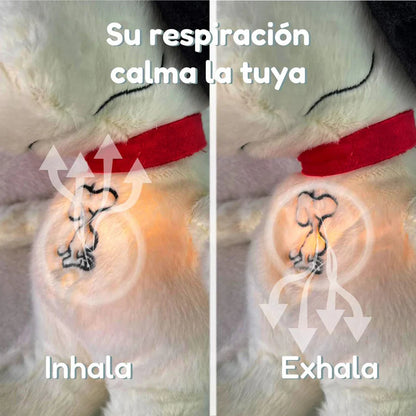 SNOOPPY ANTIESTRES | Respiración terapéutica que calma tu ansiedad, mejora tus noches 😮‍💨